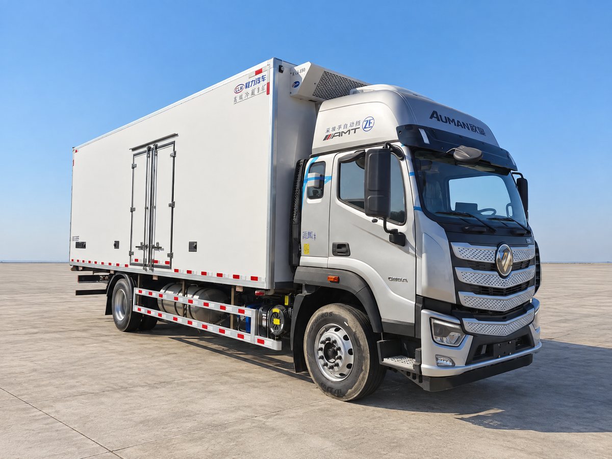 2027 Foton Auman EST-M 10-ton refrigerated box, in stock at Key Motors